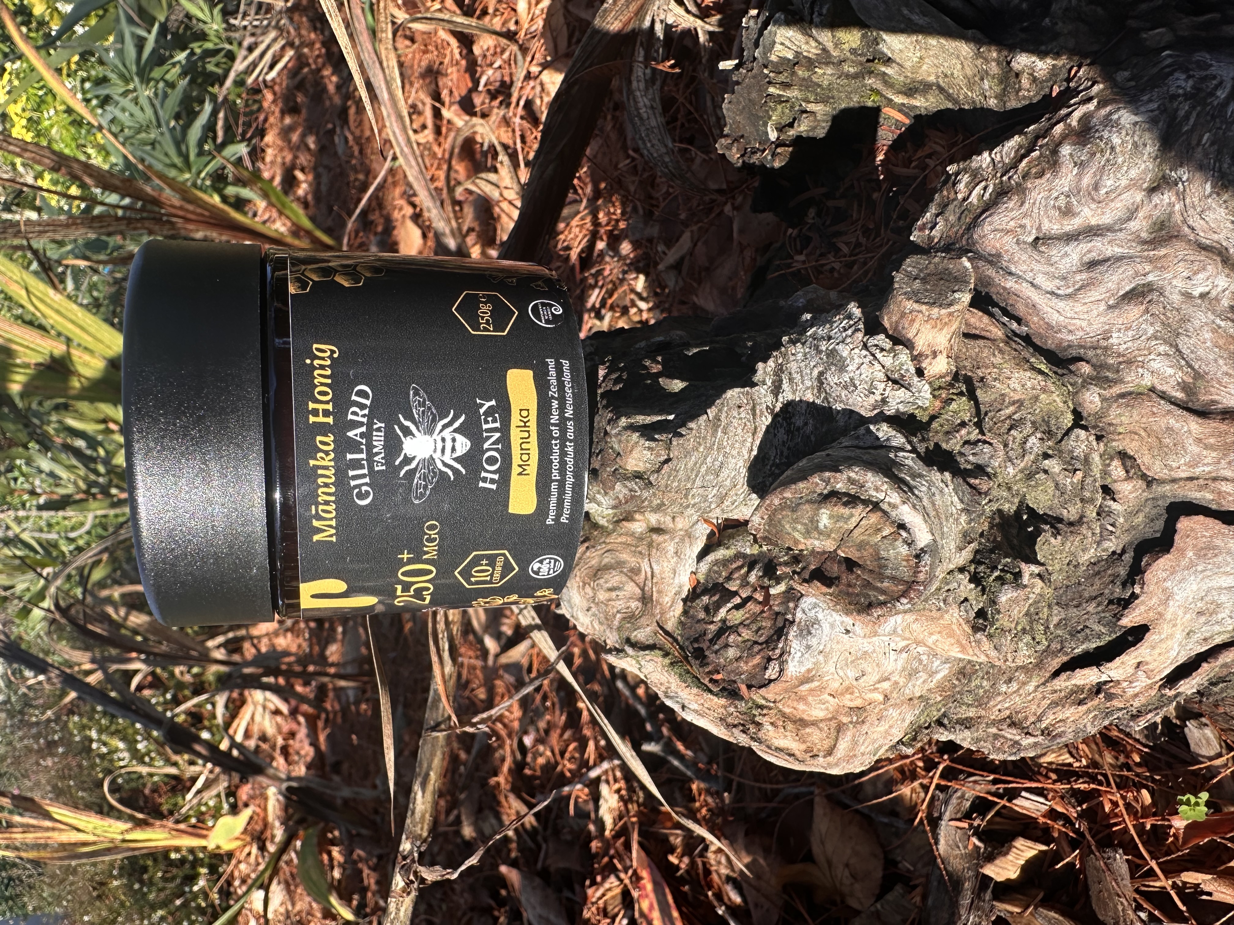 Gillard Family Honey Manuka 250 MGO — Nahaufnahme