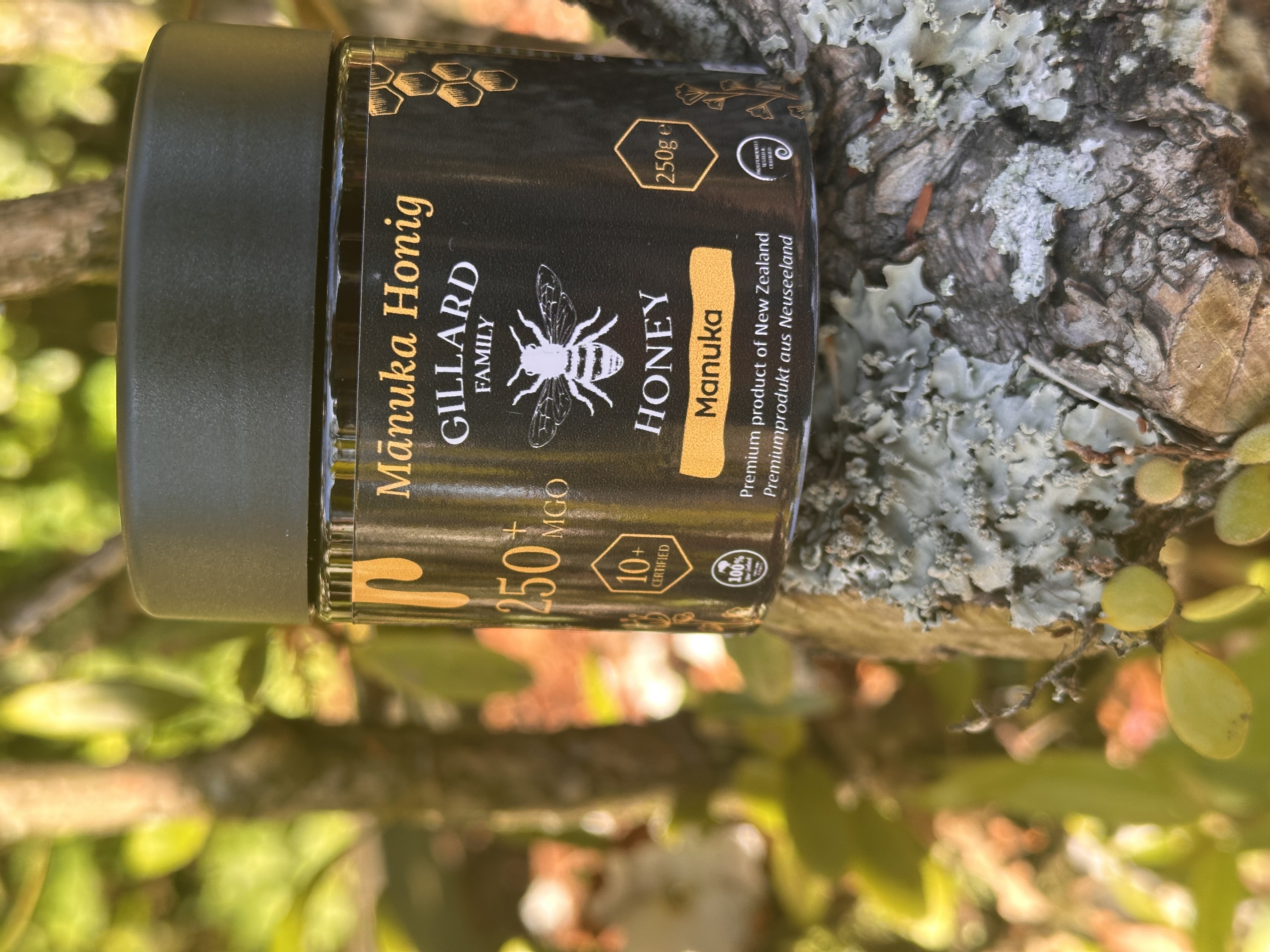 Gillard Family Honey Manuka 250 MGO — Neuseeland