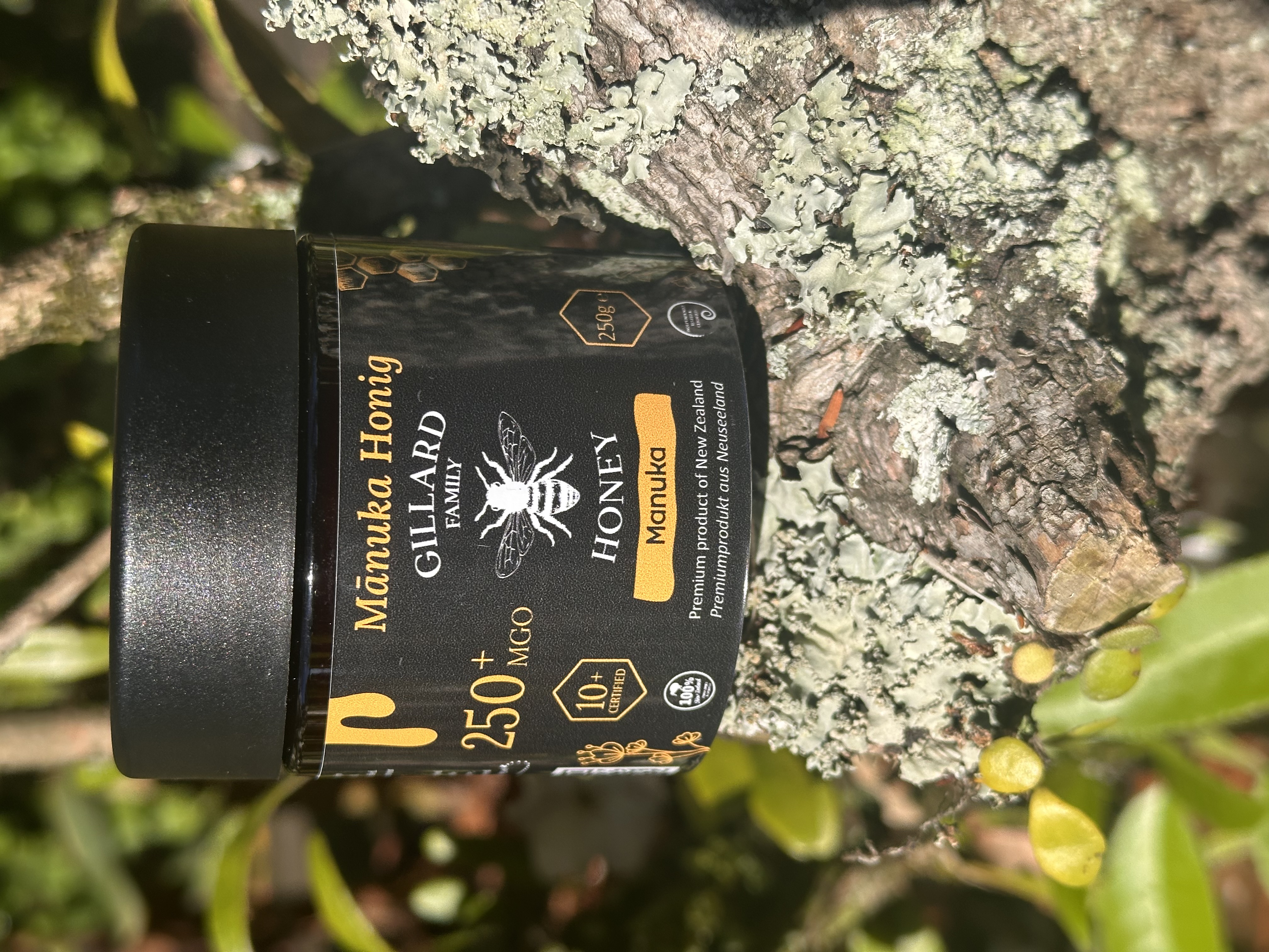 Gillard Family Honey Manuka — Seitenansicht
